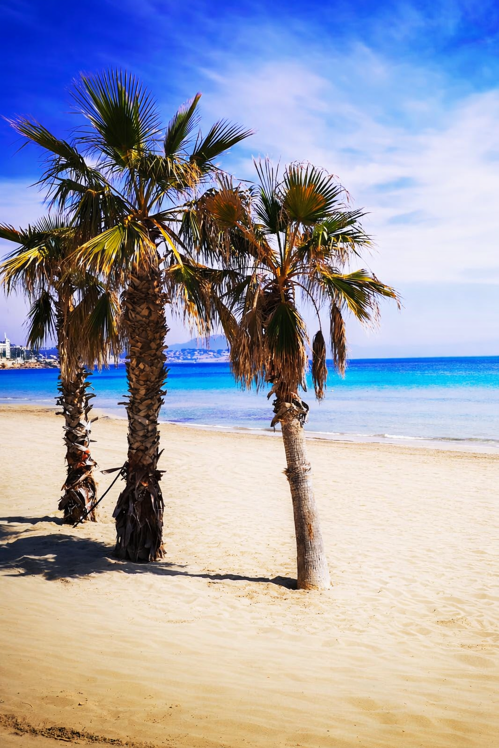 apartamento en Calpe playa