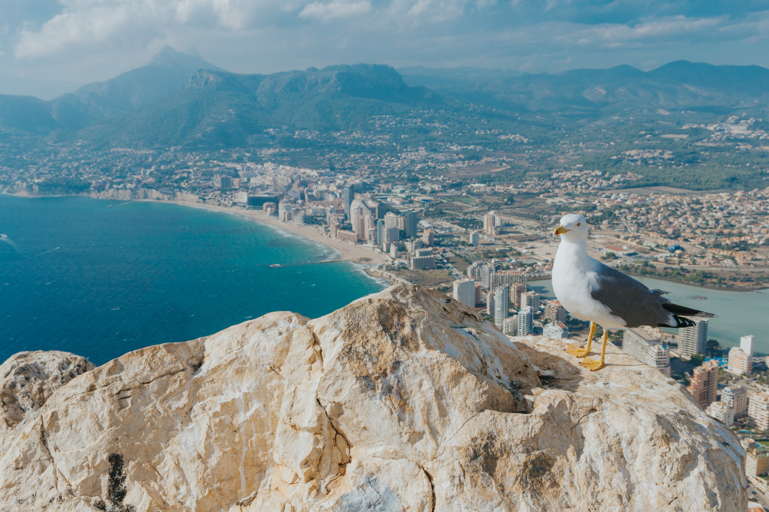 apartamento de playa en Calpe