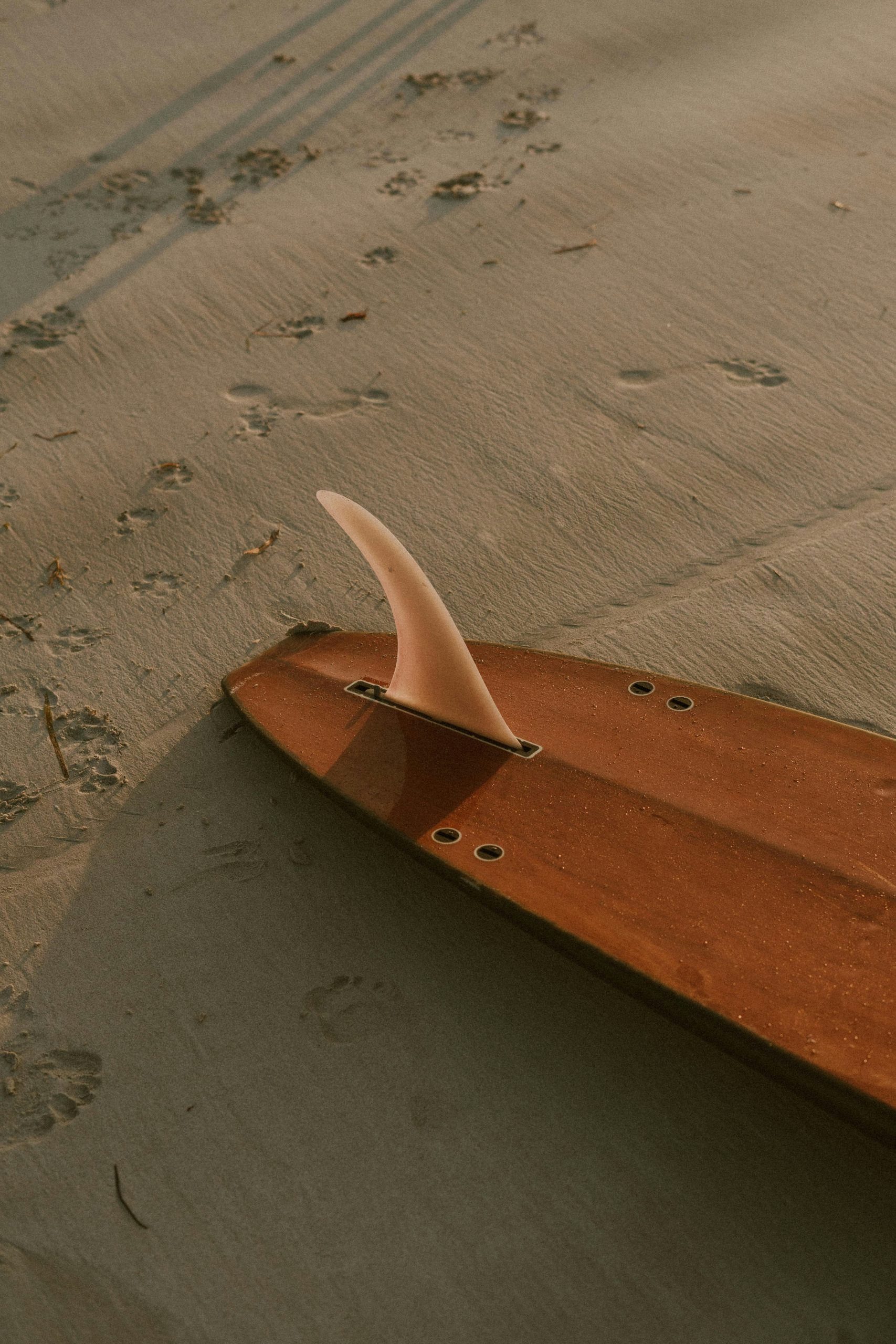 surf trips